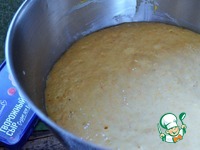 ��������-��������� ��������� ����� �����������