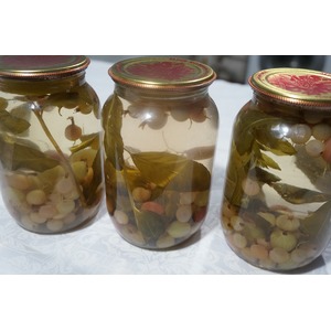 ������ �� ���������� �� ����