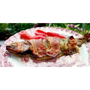 ������ � ������