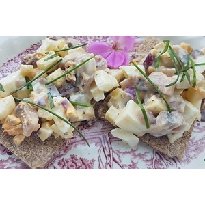 �����-������ "����������"