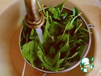 ������������� ������� ������ �� �������� �����������