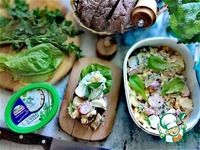 ������ ����� � ��������� ����� �����������