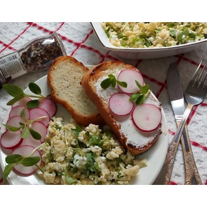 ������-������ � ��������