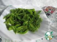 ������ ������ � ����� �����������