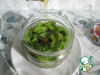 ������ ������ � ����� �����������