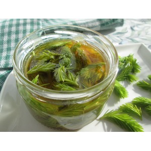 ������ ������ � �����