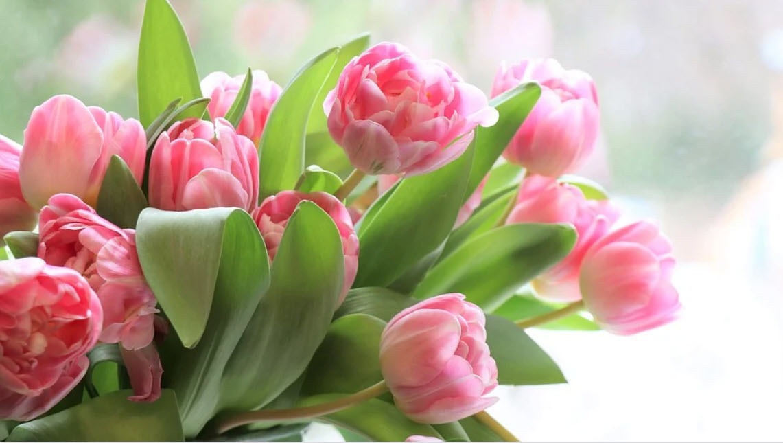 � ���������� �����!