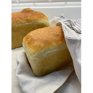 ������ ���� �� ����� "�����"