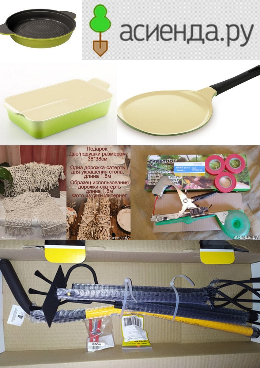 �������-������� �� �������. ������ ���� � ������ ���