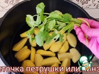 ������������ ������� �����������