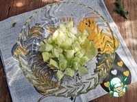 ����� "����" �����������