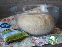 �����-��������� ���� � �������� �����������