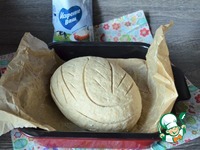 �����-��������� ���� � �������� �����������