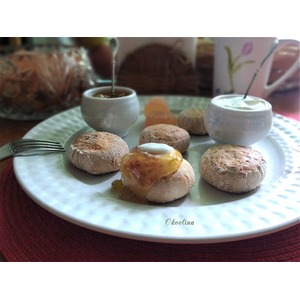 ������ ����������