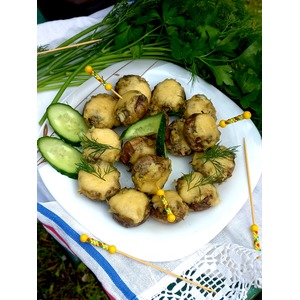 ���������� ������������� "���������"