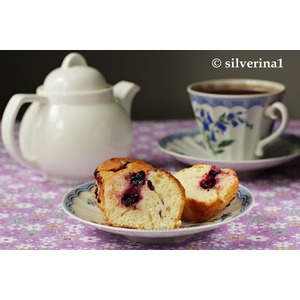 ��������� ����� �� ����������