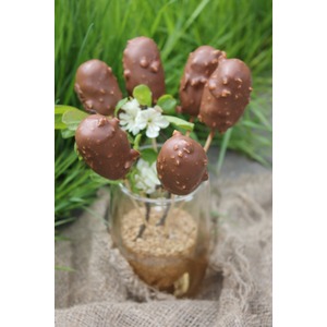 ��������� ����� � ���������-�������� �������