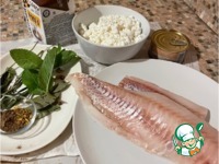 ������ �� ������ � ��������� ����� �����������