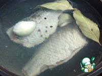 ������ ������ "��������" �����������