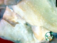 �������� � ������ � ����� �����������