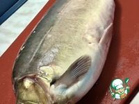 ������������� ���� ��-�������� �����������