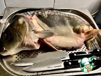 ������������� ���� ��-�������� �����������