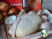 ���� ��-���������� �����������