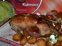 ���� ��-���������� �����������