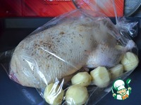 ���� ��-���������� �����������