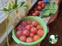 �������� (������) �������� � �������� �����������