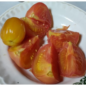 �������� (������) �������� � ��������