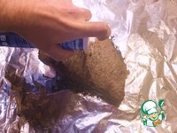 ����� ����� �����������