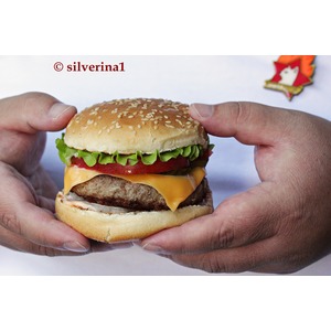 ������ ������ ����� ��� ��������