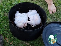 ������ �������� �������� � �������� �����������