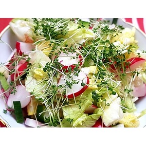 ������� ������� �������