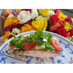 ���������� ����