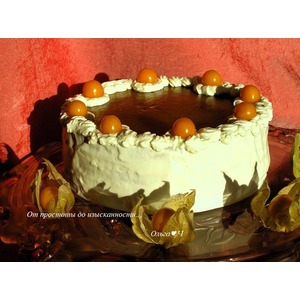 ���������-�������� ���� "�������� � �����"