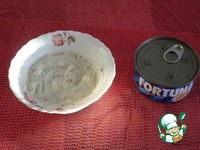 ����� �� ������ "����������" �����������