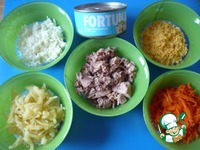 ����� "������" � ��������� ������ �����������