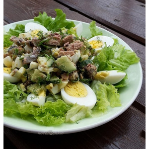 �������� �����