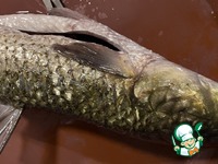 �������� � ������� �����������