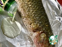 �������� � ������� �����������