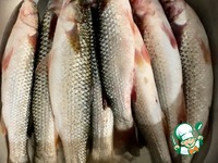 �������� � ������� �����������