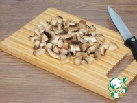 ������� � ������ � ������� �������� �����������