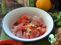 �������-������� � ���������� � �������� �����������