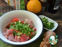 �������-������� � ���������� � �������� �����������