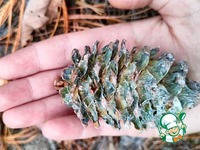 ������� �� ������ �����������