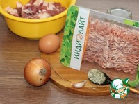 ������ � �������� � ������������ �������� �����������