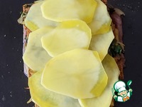 ������������� �������� � ������� � �������� �����������