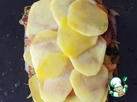 ������������� �������� � ������� � �������� �����������